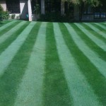 We love a lawn with stripes