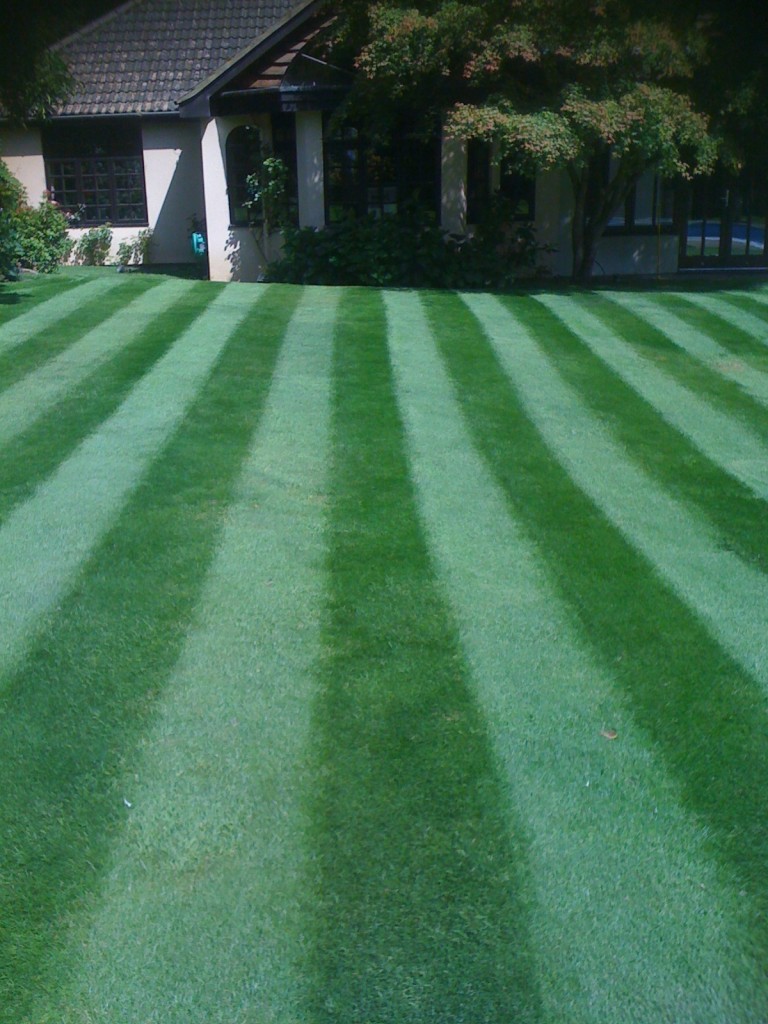 We love a lawn with stripes