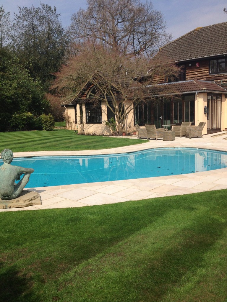 Beautiful pool and garden