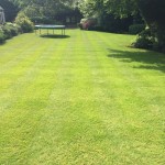 Lovely clean and tidy garden