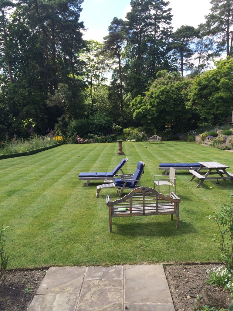 Another of the beautiful gardens we maintain